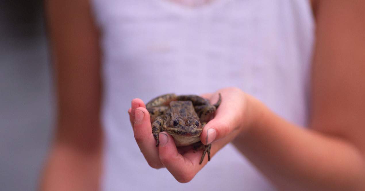 Imagen de niña sosteniendo una rana.